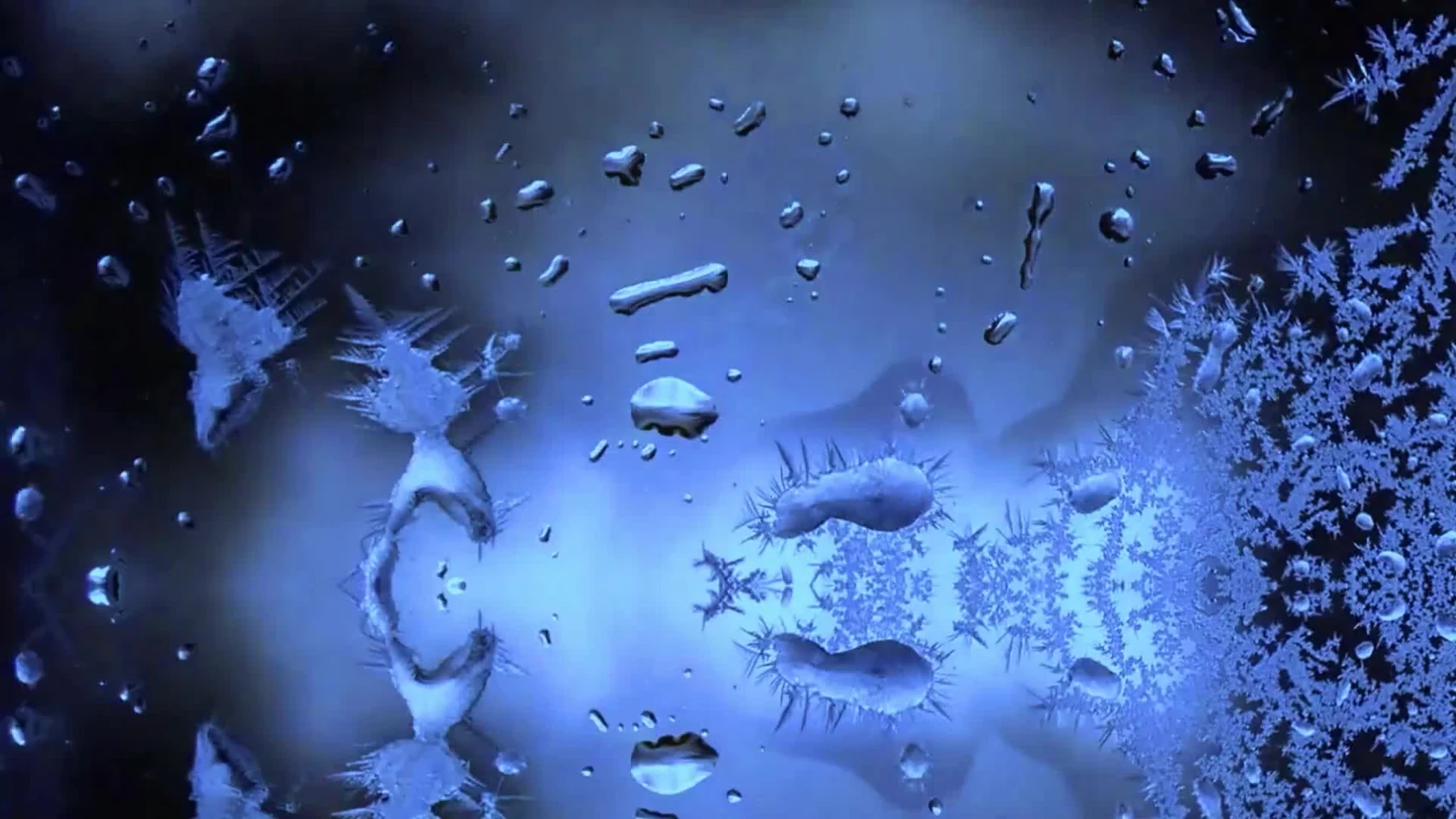 Blue water forms in RIPPLE’s generative animation, from the original portfolio film.